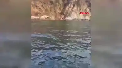 16 Saat Kayalıklarda Mahsur Kalan Koyun Kurtarıldı