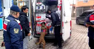 Ayvalık'ta Jandarma Huzur Operasyonu: 5 Gözaltı