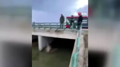 Ayvalık'ta Mahsur Kalan Kedi Kurtarıldı