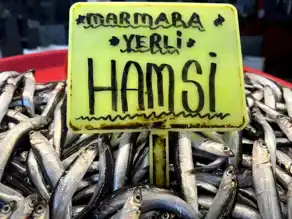 Bandırma'da Balık Fiyatları Değişiyor