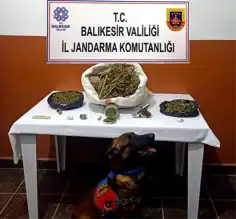Balıkesir Manyas'ta Büyük Uyuşturucu Operasyonu