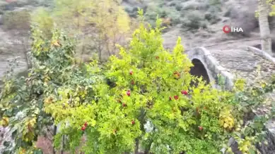 Balıkesir'in Sonbahar Renkleri