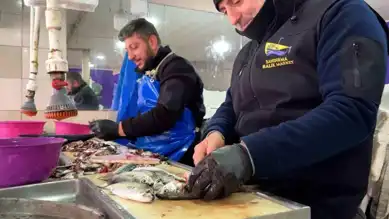 Bandırma Balık Pazarında Fiyat Hareketliliği
