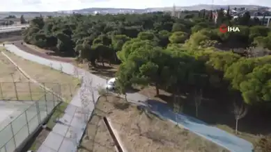 Kadın Cinayetlerine Karşı Fidan Dikimi