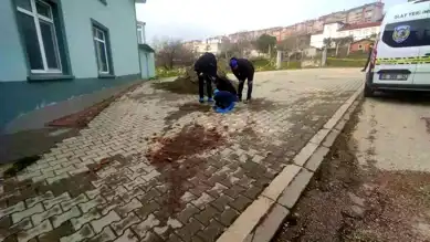 Bandırma'da Silahlı Saldırı: Murat Kamallı Vefat Etti