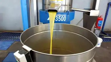 Ege'de Zeytin Hasadı Sıkıntıda: Kuraklık ve Lodos Vurdu