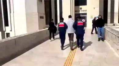 Edremit'te Zeytin Hırsızlığı Çözüldü