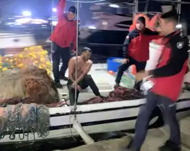 Limanda Genç Denize Atladı, Balıkçılar Kurtardı