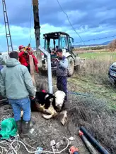 Gömeç'te Kuyuda Mahsur Kalan İnek Kurtarıldı