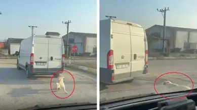 Köpek, Minibüse Bağlı Halde Çekildi!