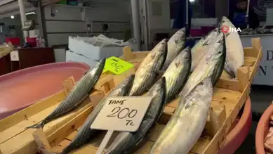 Palamut Sezonu Bitiyor, Çinekop ve Hamsi Zamanda!