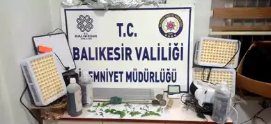 Susurluk'ta Uyuşturucu Operasyonu: 11 Kök Hint Keneviri Ele Geçirildi