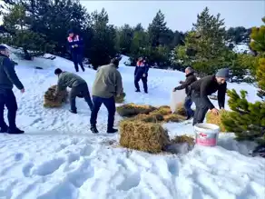 Kazdağları'nda Yaban Hayvanları Kışa Hazırlanıyor