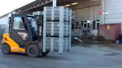 Balıkesir Zeytincilerinden Devlete Çağrı: Destek Bekliyoruz!