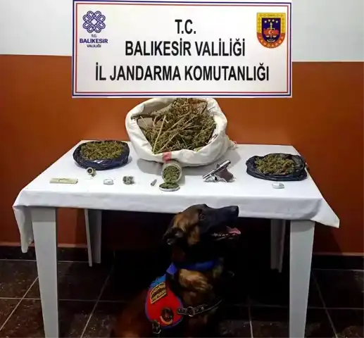 Balıkesir Manyas'ta Büyük Uyuşturucu Operasyonu