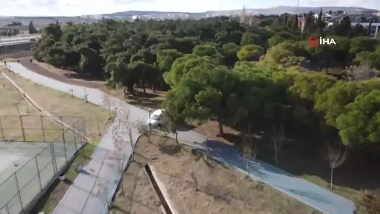 Kadın Cinayetlerine Karşı Fidan Dikimi