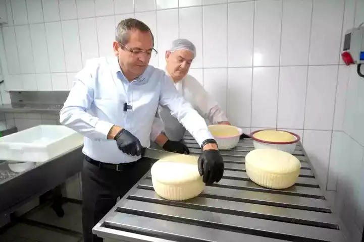 Ayvalık Sepet Peyniri Coğrafi İşaret Aldı!