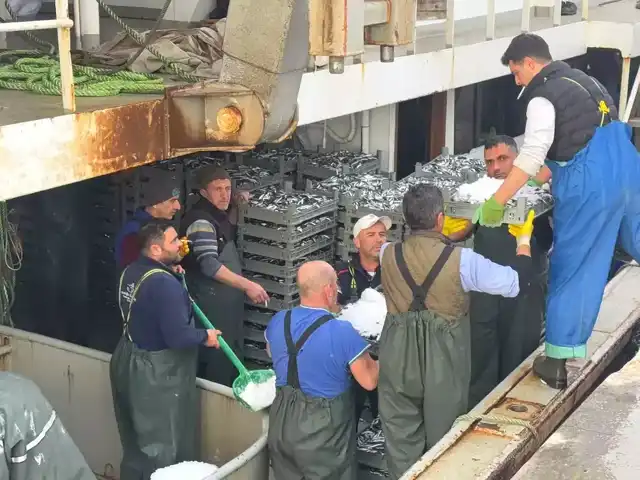 Erdek'te Hamsi Bereketi: Balıkçılar Ağlarını Dolu Çekti!