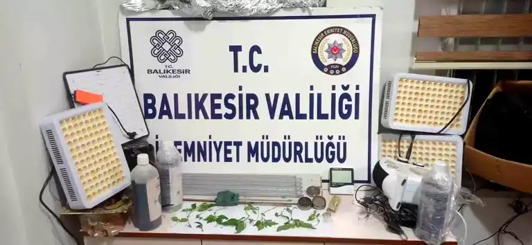 Susurluk'ta Uyuşturucu Operasyonu: 11 Kök Hint Keneviri Ele Geçirildi
