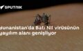 Batı Nil virüsü