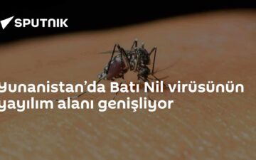 Batı Nil virüsü