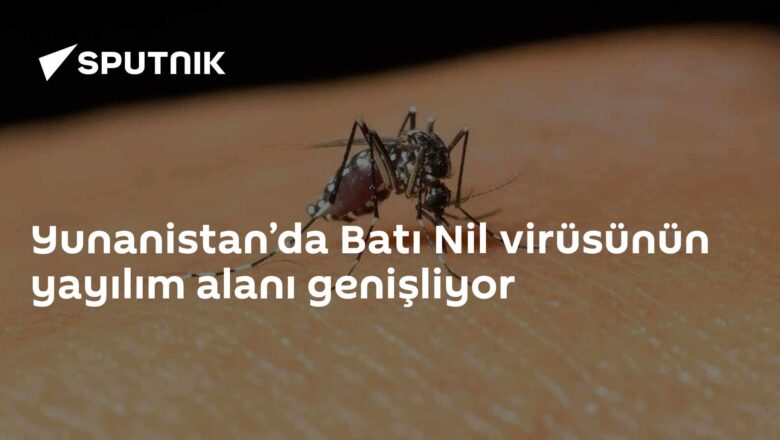 Batı Nil virüsü