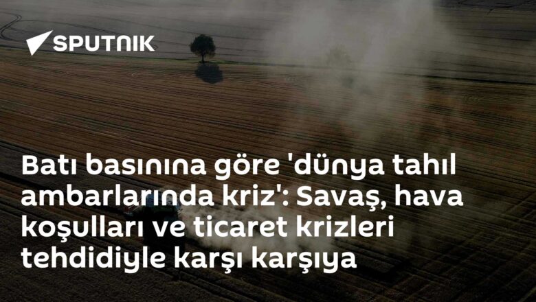 tahıl ambarları