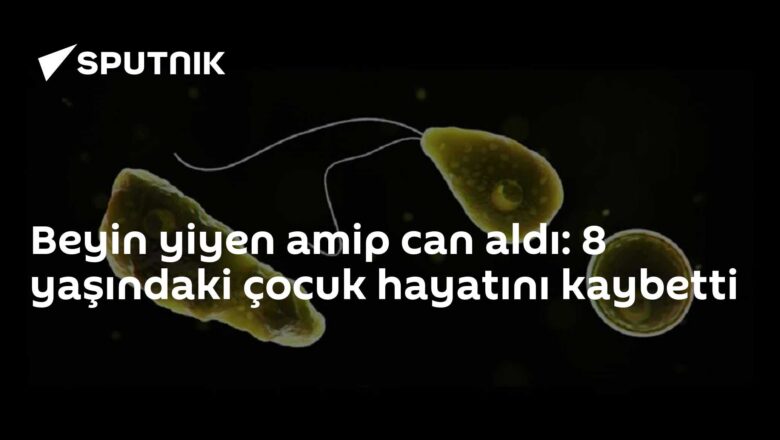 Naegleria fowleri