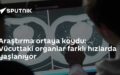 Organ Yaşlanma