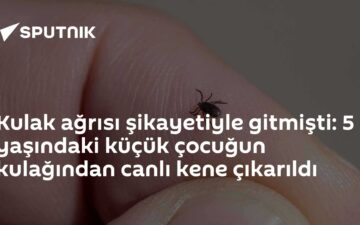 kene