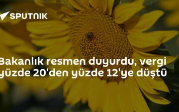 gümrük vergisi