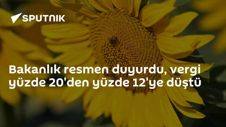 gümrük vergisi