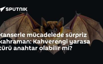 kanserle mücadele