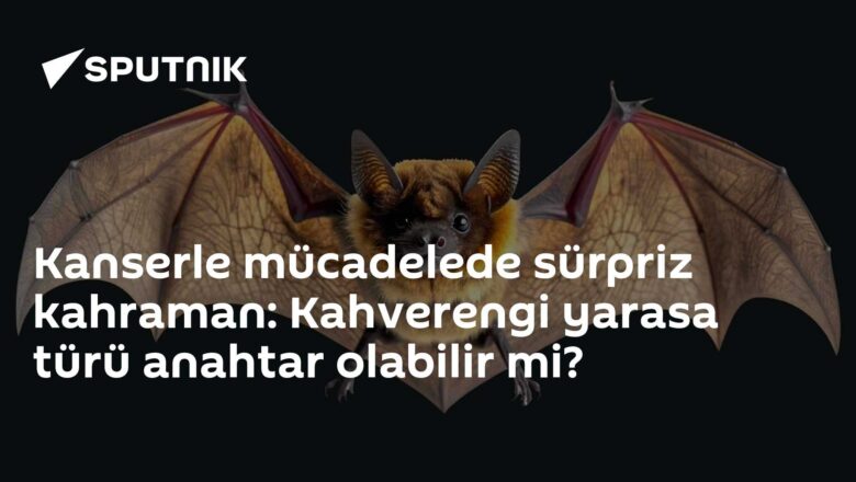 kanserle mücadele