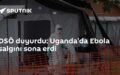 Ebola salgını