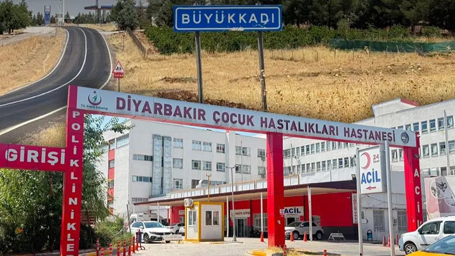 kedi ısırığı