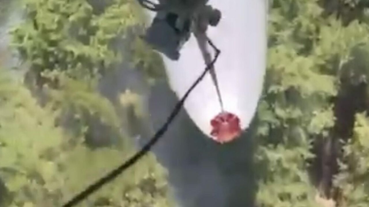 Orman yangını