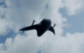Airbound yatırım