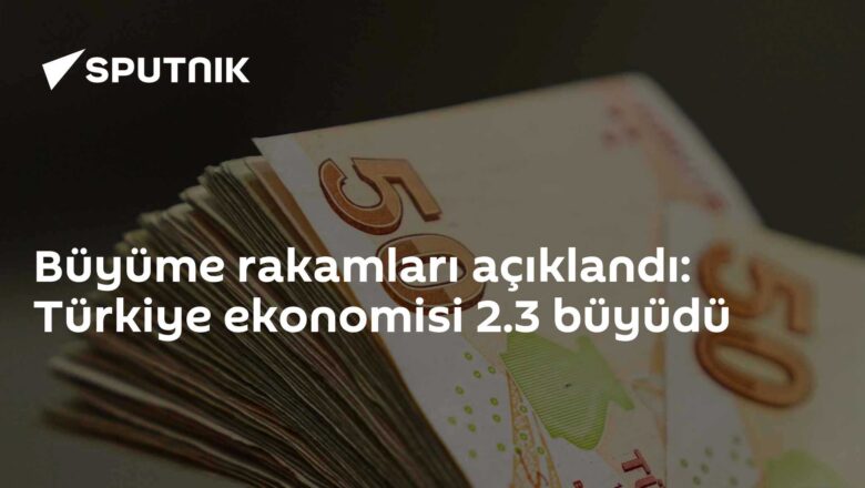 GSYH büyümesi