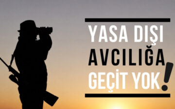 yasa dışı avcılık