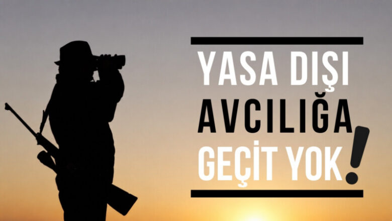 yasa dışı avcılık
