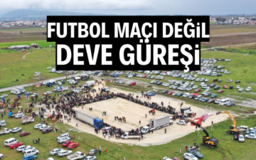 Deve Güreşi