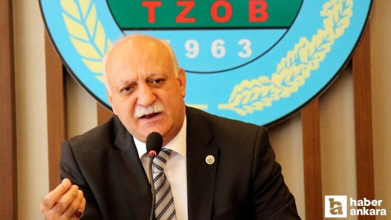 balıkçılık